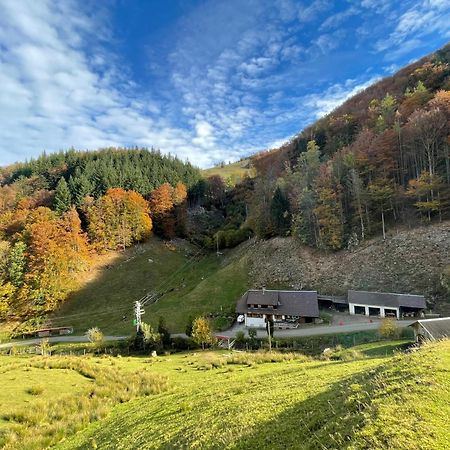 Bauernhaus Im Münstertal Exterior foto