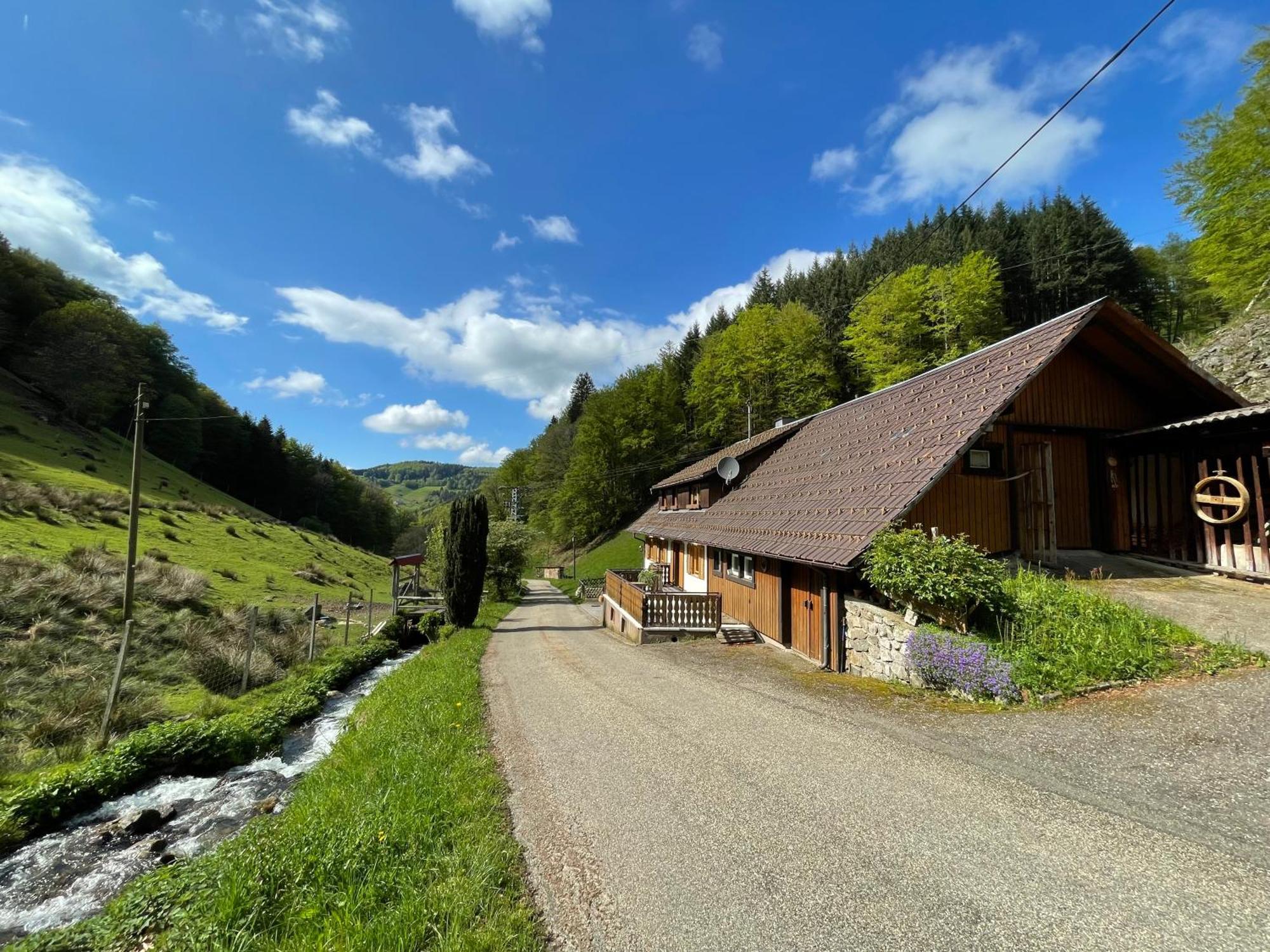 Bauernhaus Im Münstertal Exterior foto